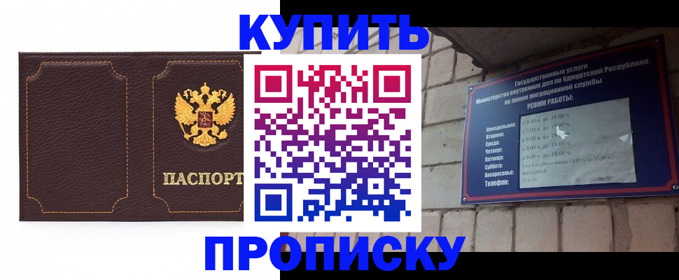 прописка поиск в Коле